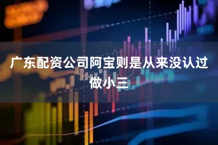 广东配资公司阿宝则是从来没认过做小三